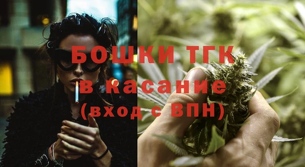 винт Бородино