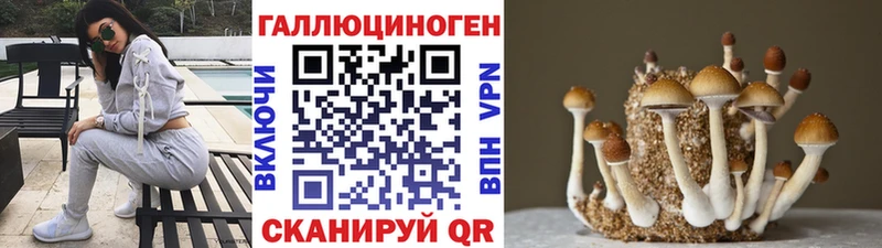 кракен ССЫЛКА  сайты даркнета состав  Галлюциногенные грибы MAGIC MUSHROOMS  Гусь-Хрустальный 